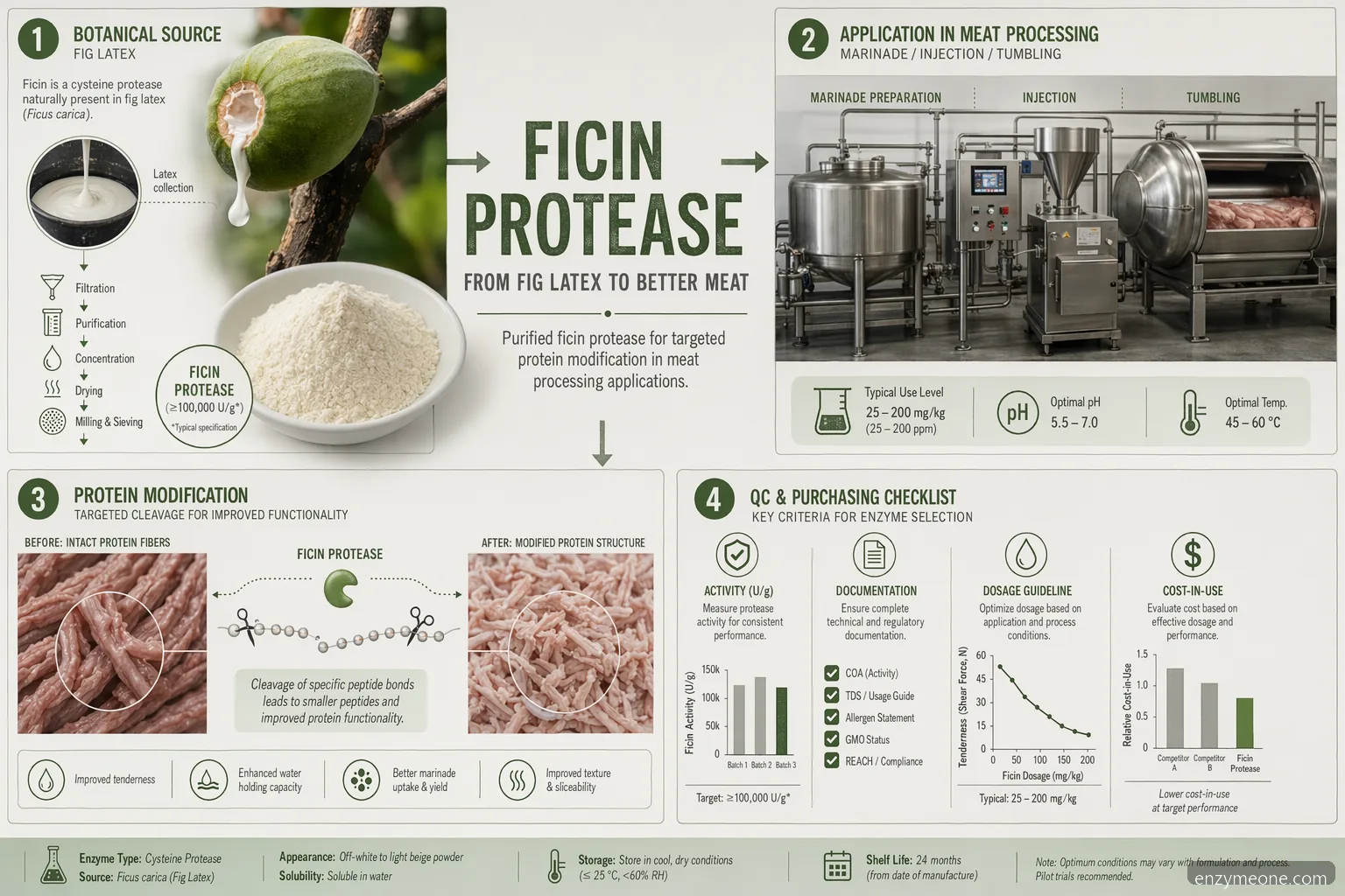 ficin enzyme til mørning af kød, formuleringguide med fig protease, proceskontrol og QC-tjek